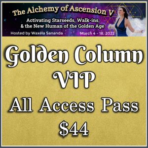Golden Column VIP AoA5